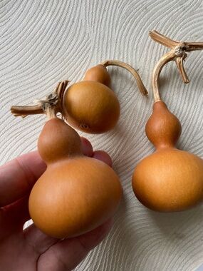 Dried Mini Bottle Gourds - Natural Tan Decorative Accents